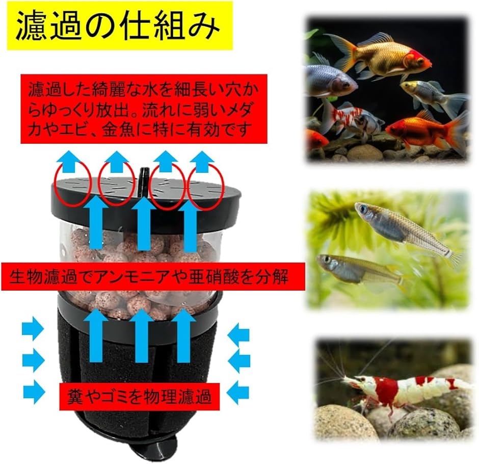 水槽 スポンジフィルター 投げ込み式フィルター ろ過 水質 交換 替え
