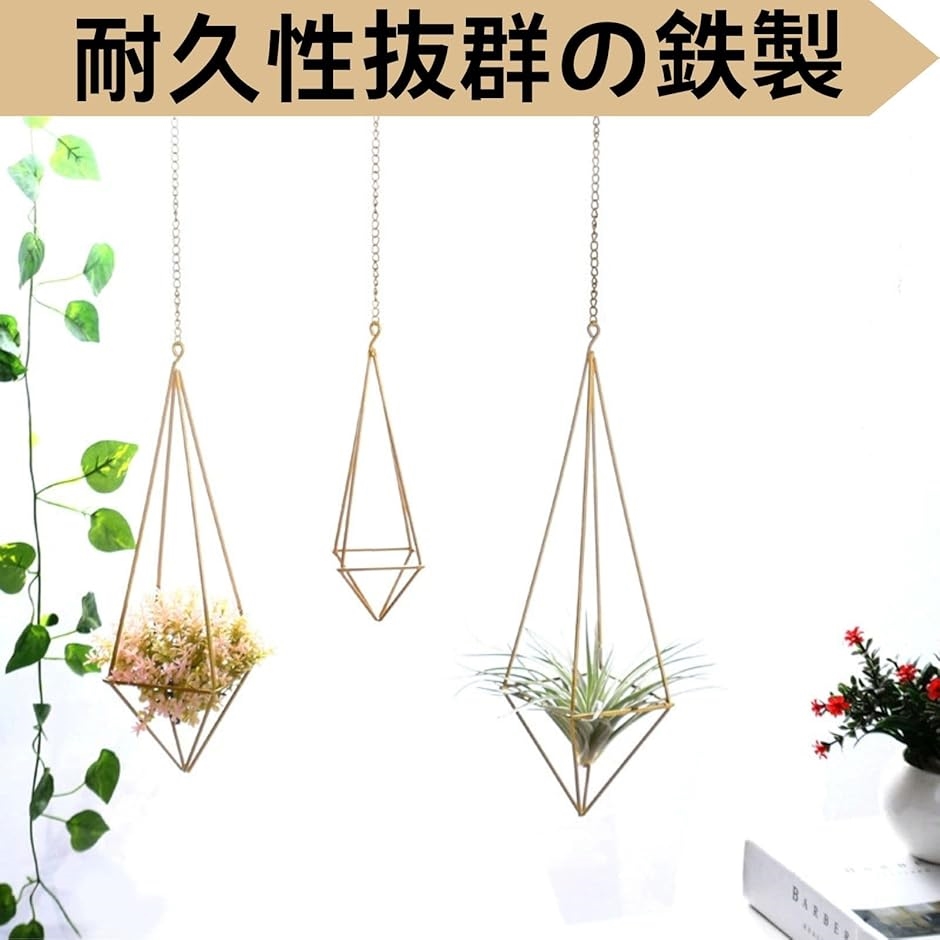 プラントハンガー エアプランツ プラントホルダー 吊るす 園芸ラック