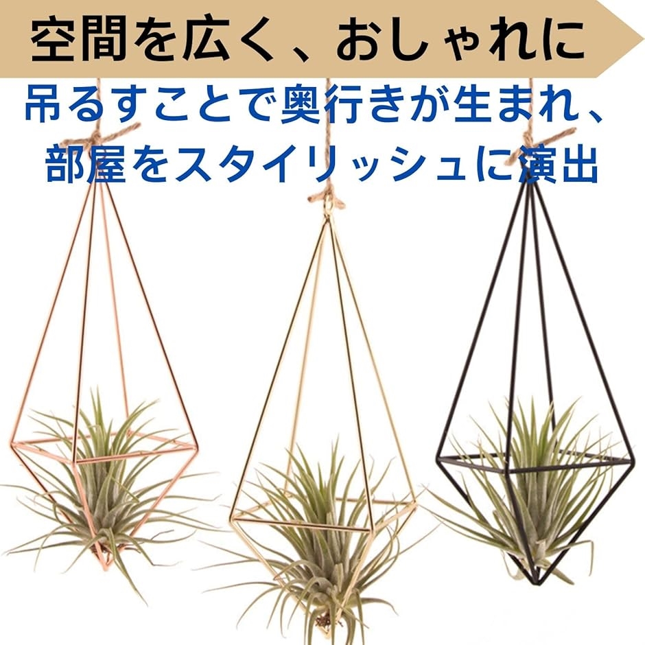 プラントハンガー エアプランツ プラントホルダー 吊るす 園芸ラック
