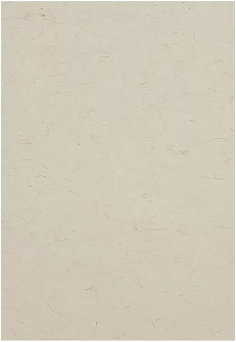 色紙 10枚入 寄せ書き 用紙 サイン色紙(麻紙, A4) : スピード発送