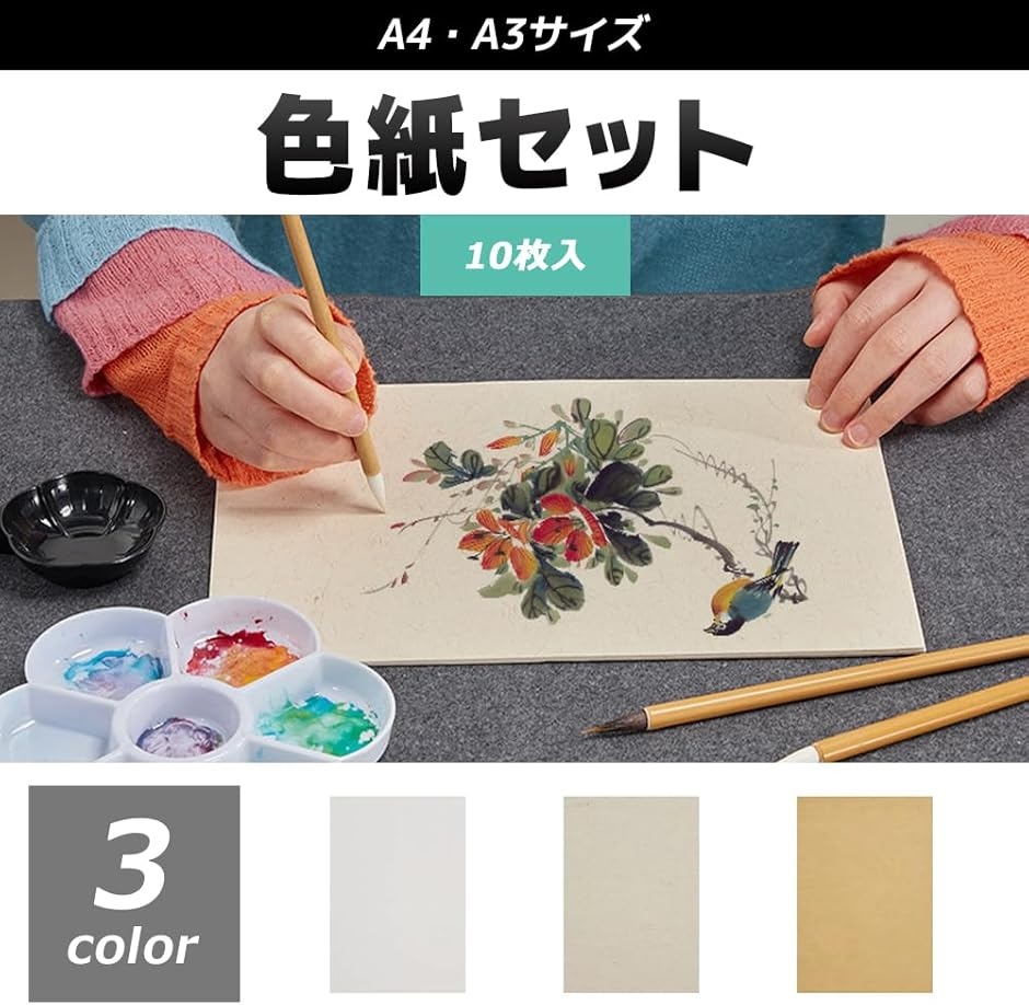 色紙 10枚入 寄せ書き 用紙 サイン色紙(麻紙, A4) : スピード発送