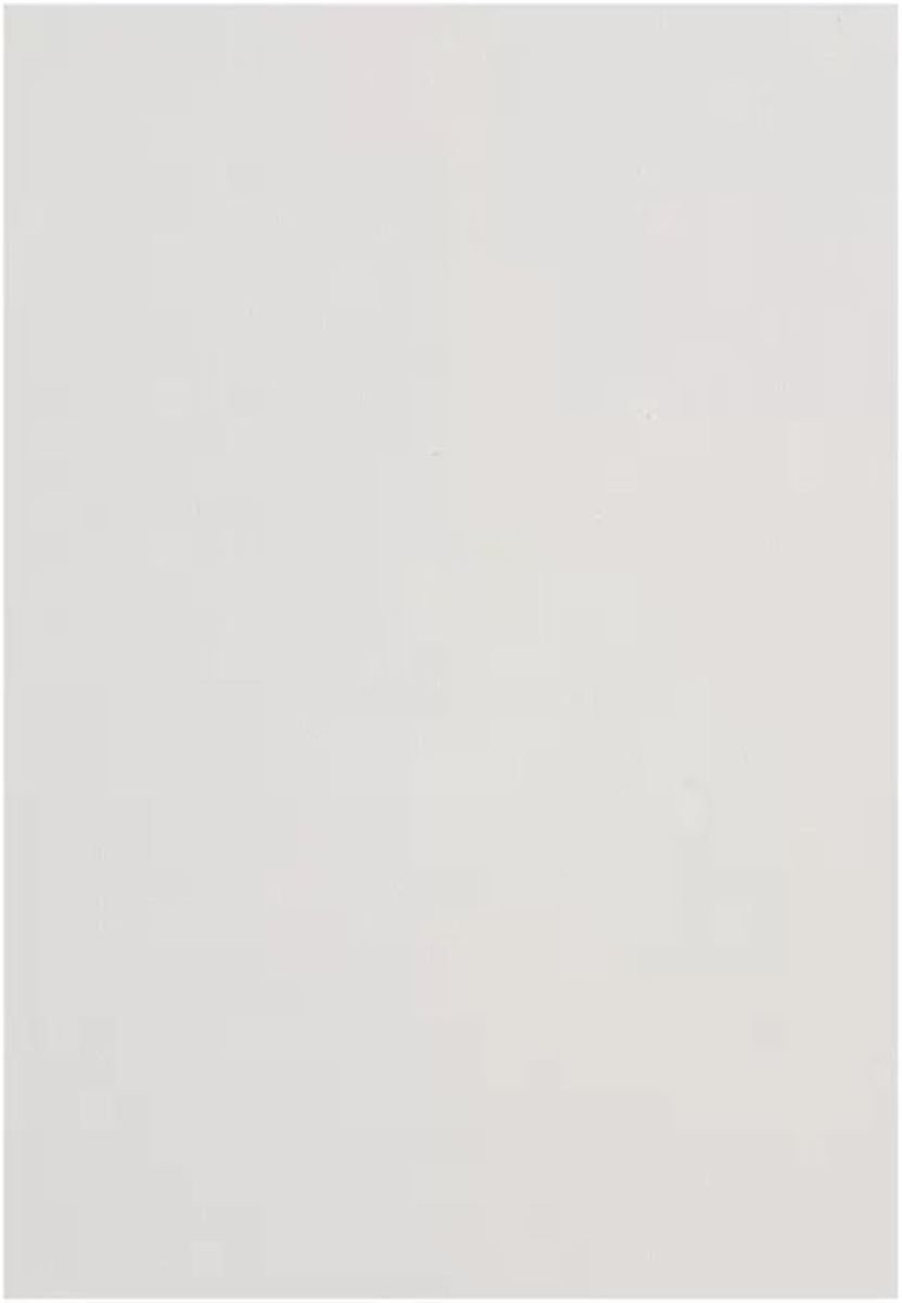 色紙 10枚入 寄せ書き 用紙 サイン色紙(ホワイト, A4) : スピード発送