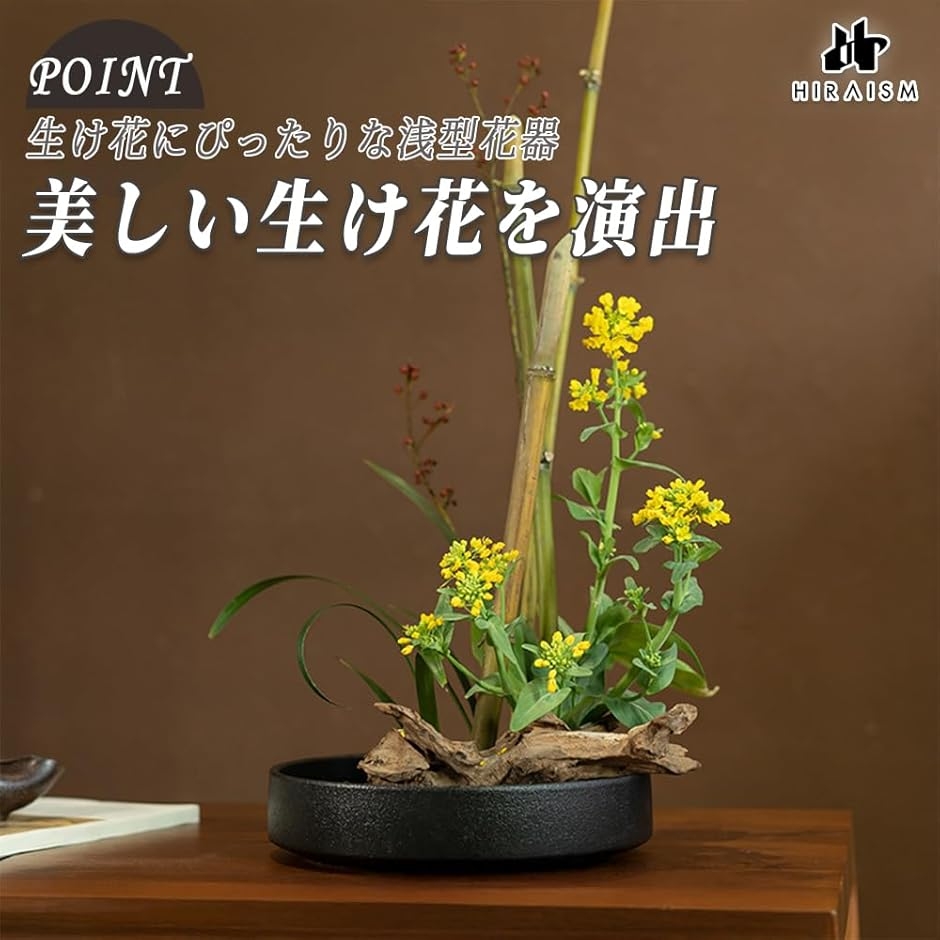 生け花 花器 水盤 陶器 楕円形 浅型 華道用 (白, 剣山なし) : スピード