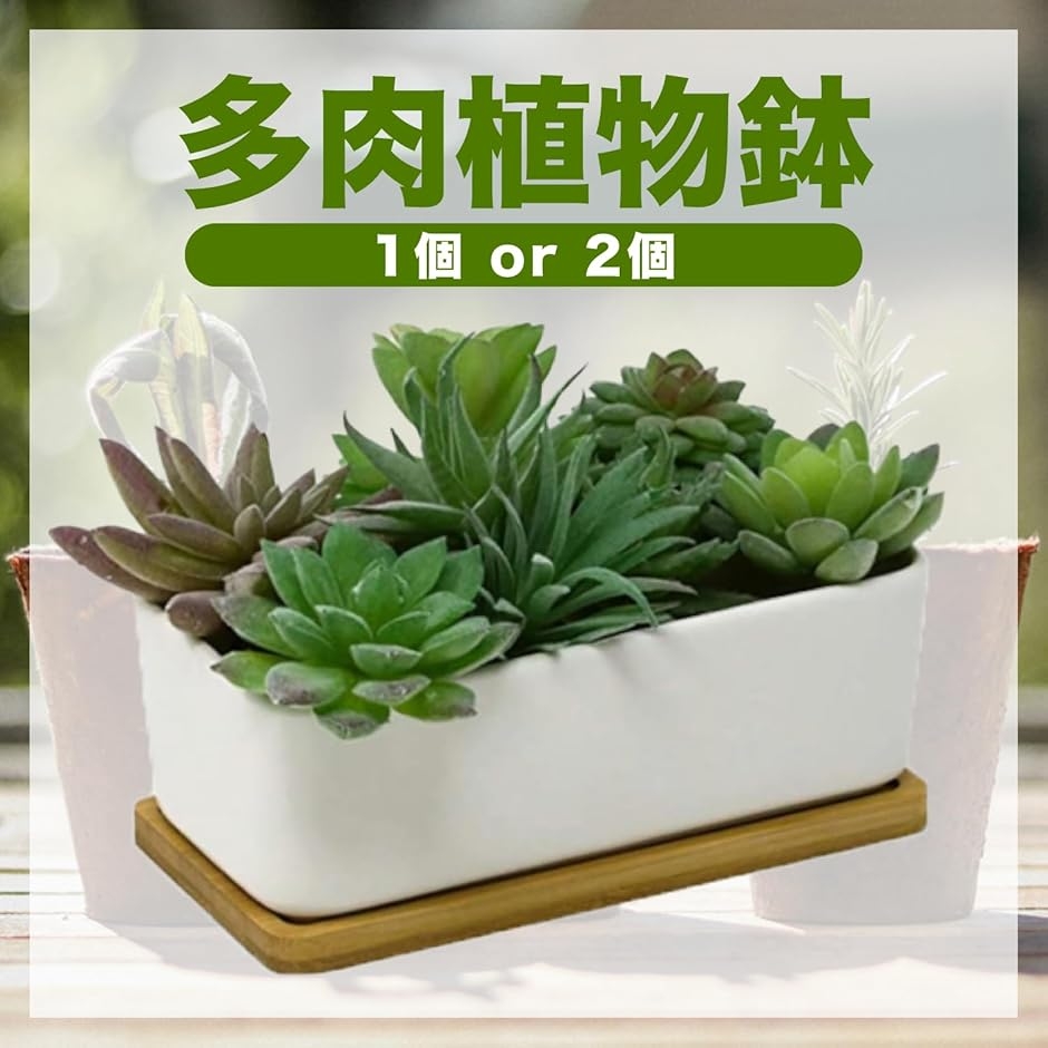 多肉植物セット 3鉢 陶器鉢 木製トレイ付き 植木鉢 多肉植物鉢 陶器鉢 プランター サボテン鉢 受け皿 トレイ付き