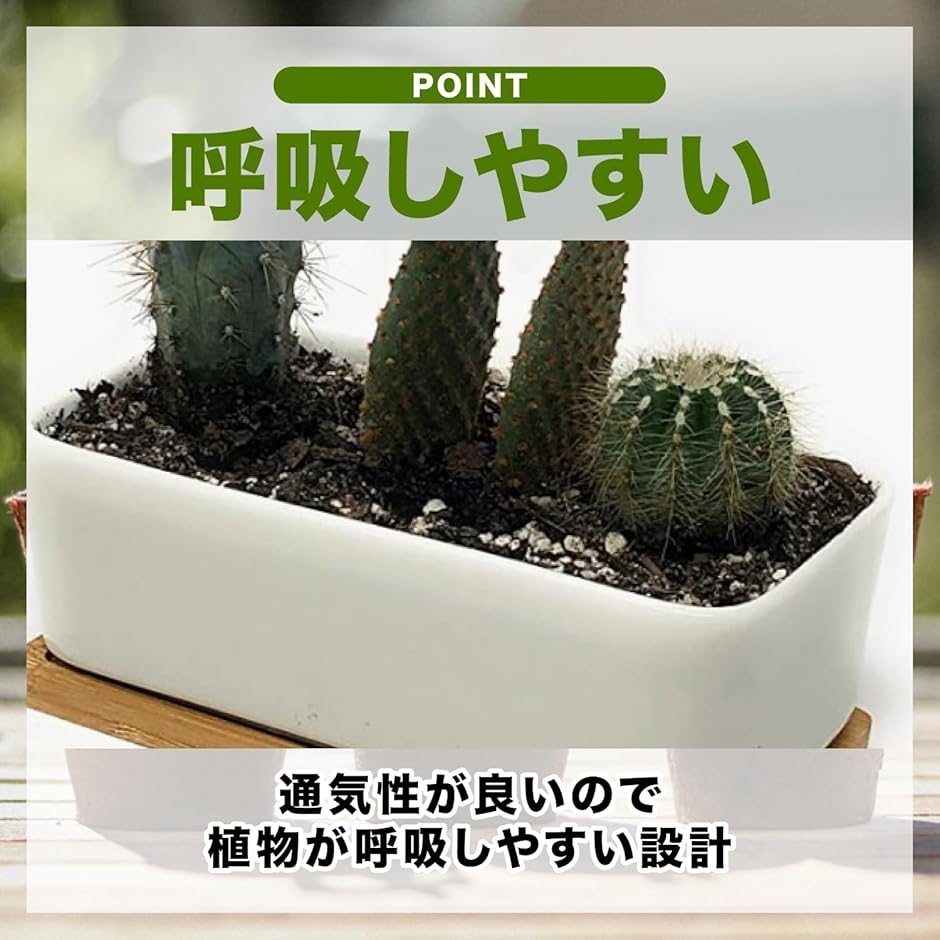 植木鉢 多肉植物鉢 陶器鉢 プランター サボテン鉢 受け皿 トレイ付き