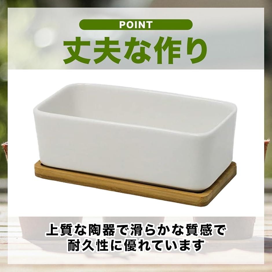 植木鉢 多肉植物鉢 陶器鉢 プランター サボテン鉢 受け皿 トレイ付き