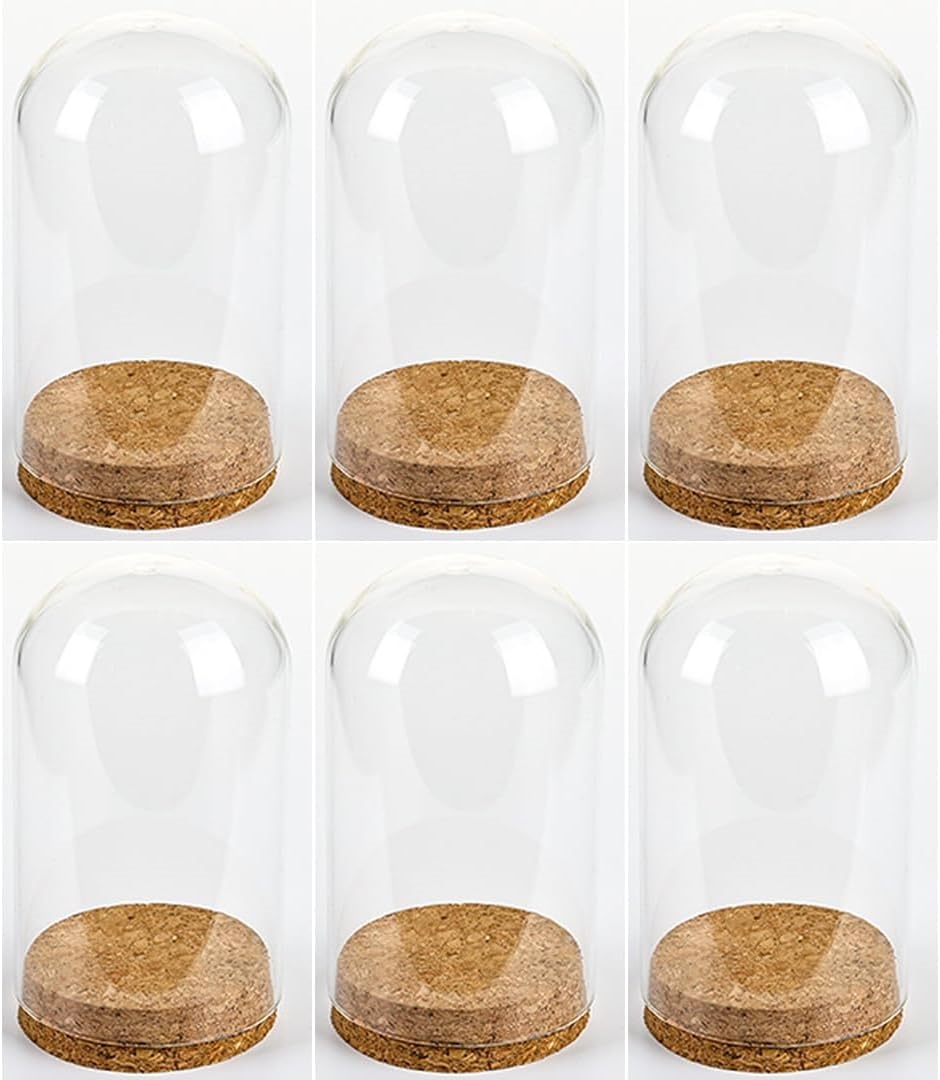 箱付き】ガラス製ドーム型カバー 木製ベース付き 【公式通販】