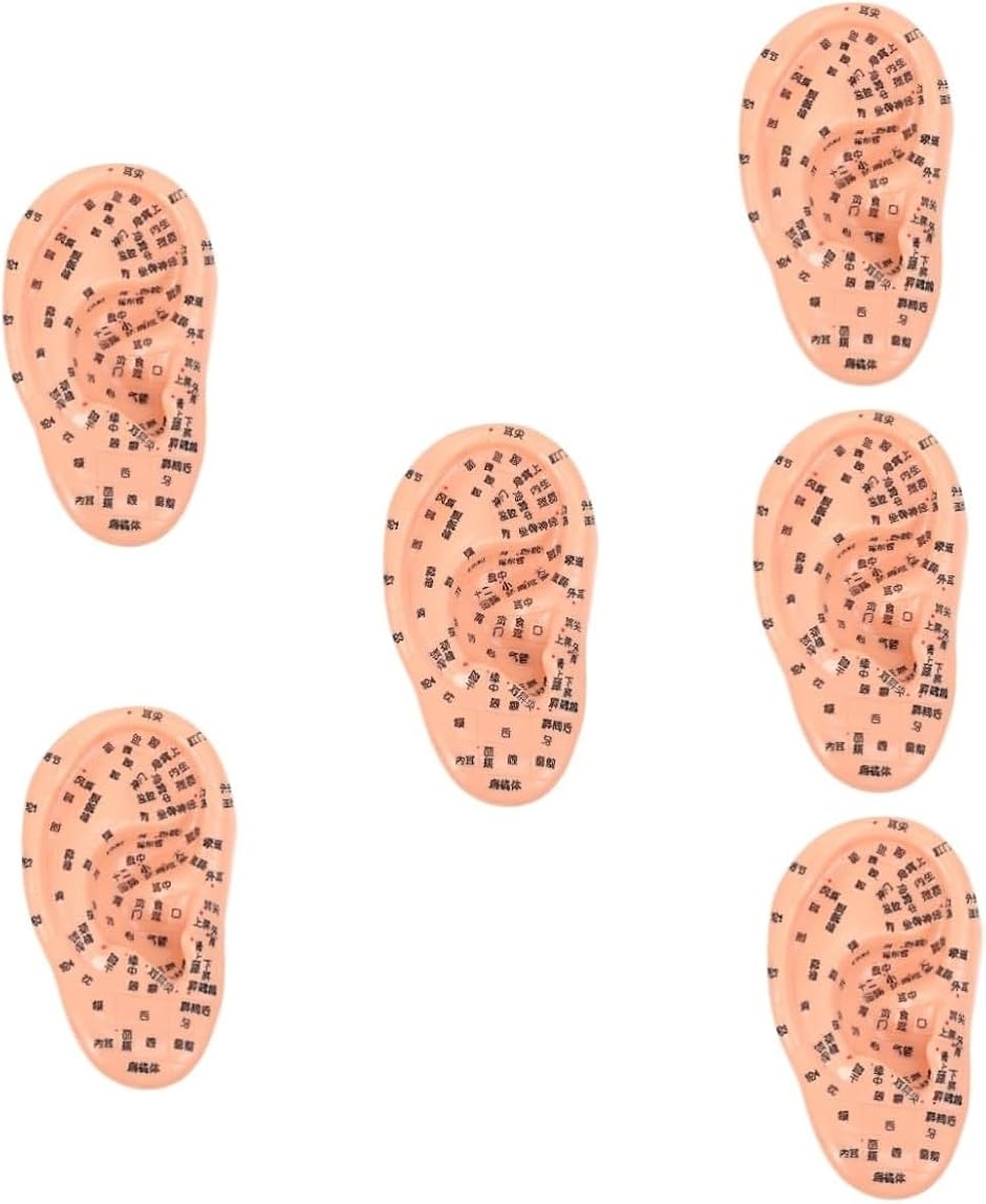 6個セット 耳鍼モデル 耳つぼモデル 医療器具 耳マッサージ PVC