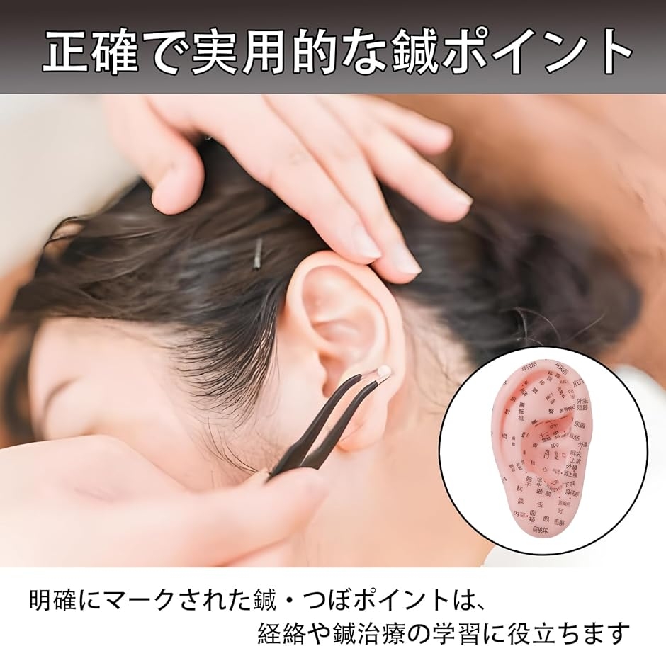 6個セット 耳鍼モデル 耳つぼモデル 医療器具 耳マッサージ PVC