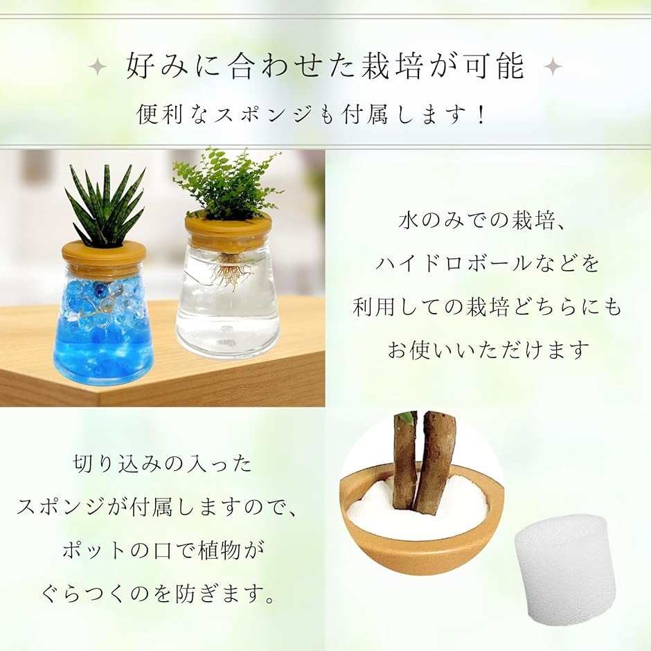 ドイツ製ガーデニング 陶器 ハイドロカルチャー 噴水 流水 テラリウム