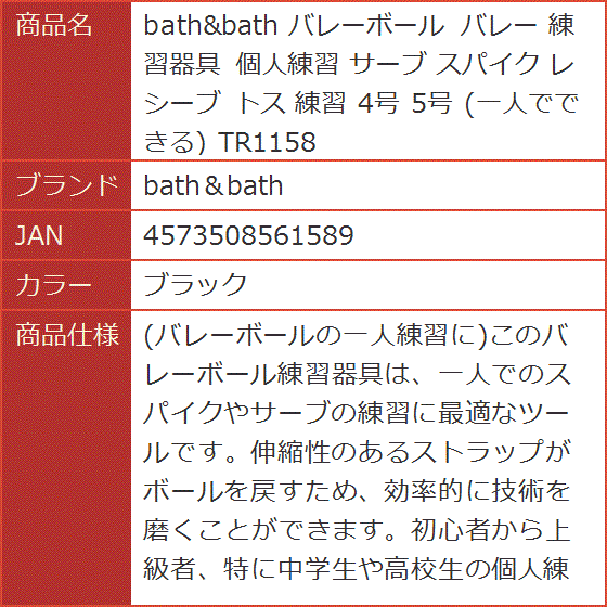 バレーボール 練習器具 個人練習 サーブ スパイク レシーブ トス 4号 5