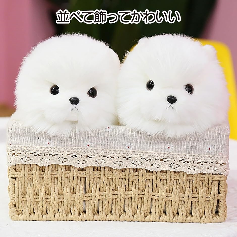 ハンドメイド* ぬいぐるみ*ポメラニアン*ホワイト ✨お知らせฅ•ﻌ•ฅ✨ #カプセルトイ 「ふわふわぬいぐるみクリップ