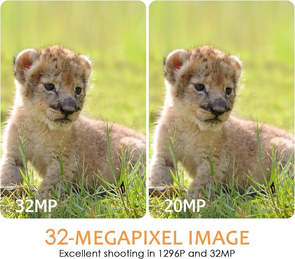 mo_ez4-cam108_6.jpg