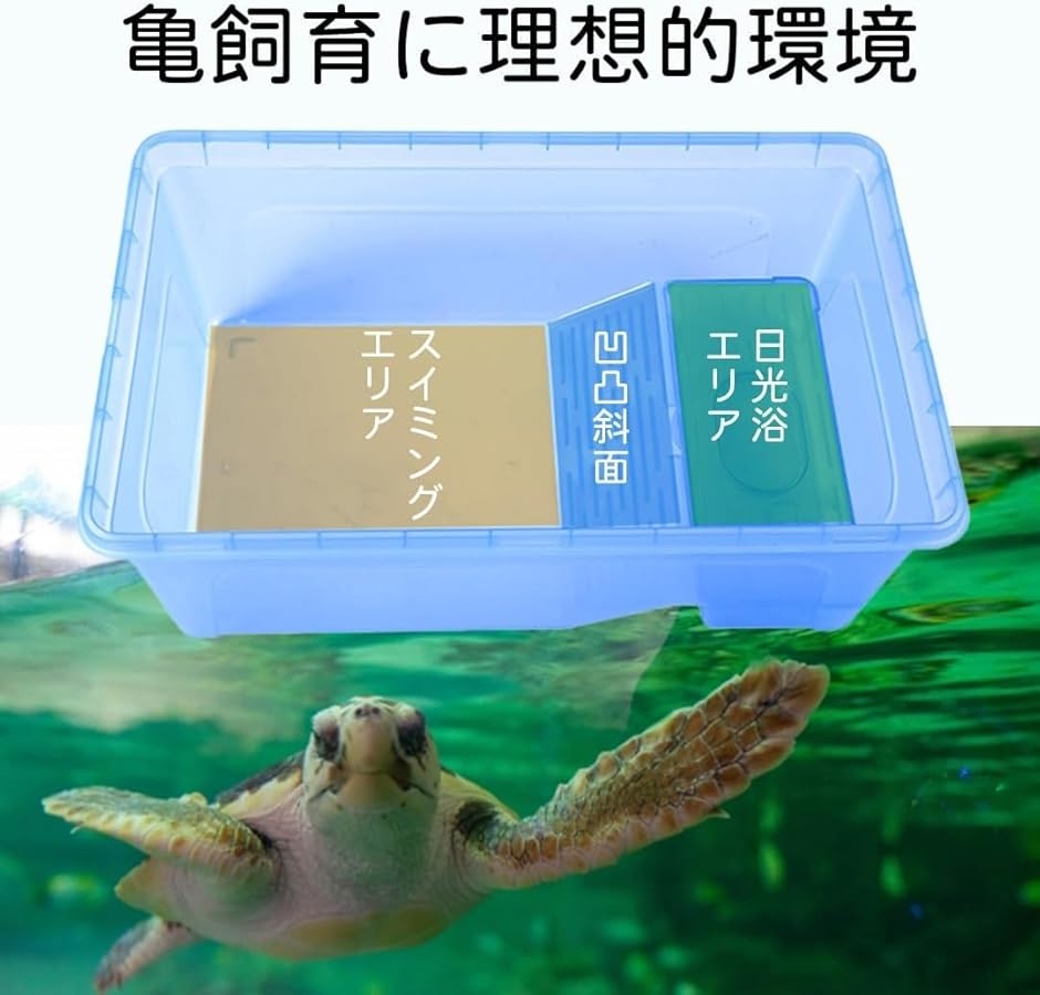 亀の飼育ケースのおすすめ人気商品一覧 通販 - Yahoo!ショッピング