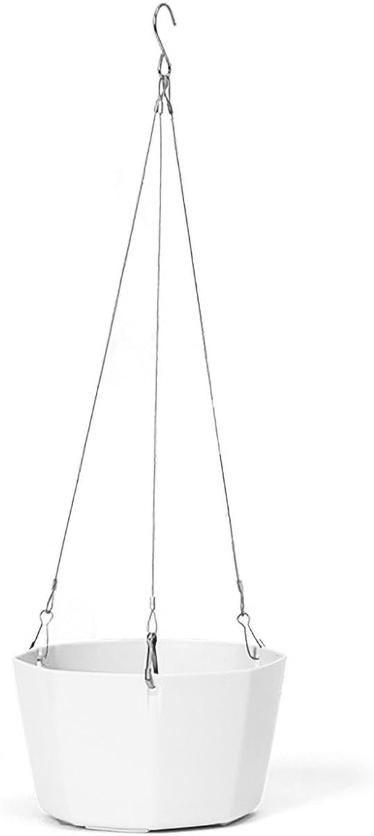 nMOv^[ ݂艺 Aؔ ϗtA C[ nMO|bg(sAmzCg,  15cm)