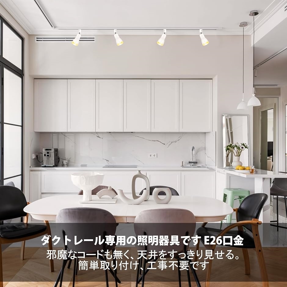 ダクトレール用 レールライト ライティングバー用 ダクトレール照明