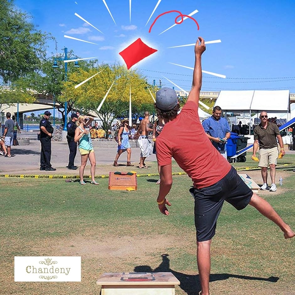 ビーンバッグ 詰め替え可能 袋 ボール遊び コーンホール 室内外 ボード