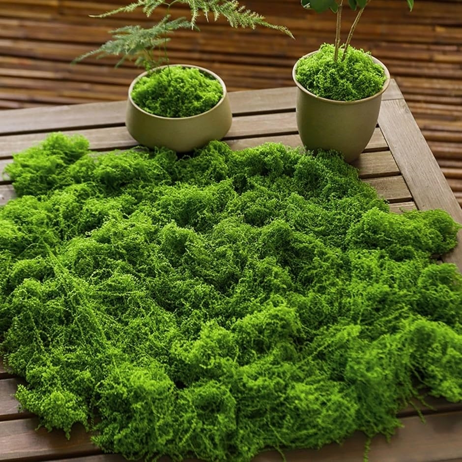 苔 コケ モス フェイクグリーン 観葉植物 盆栽 ジオラマ 模型(グリーン