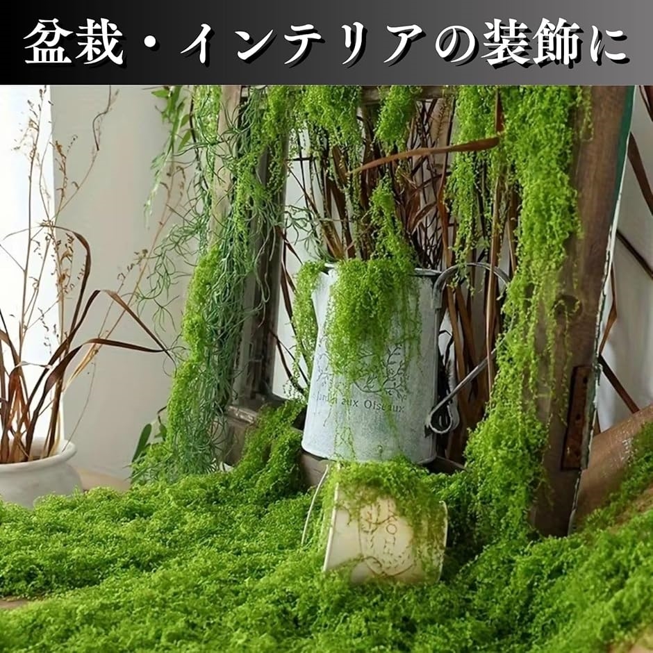 苔 コケ モス フェイクグリーン 観葉植物 盆栽 ジオラマ 模型(ダーク