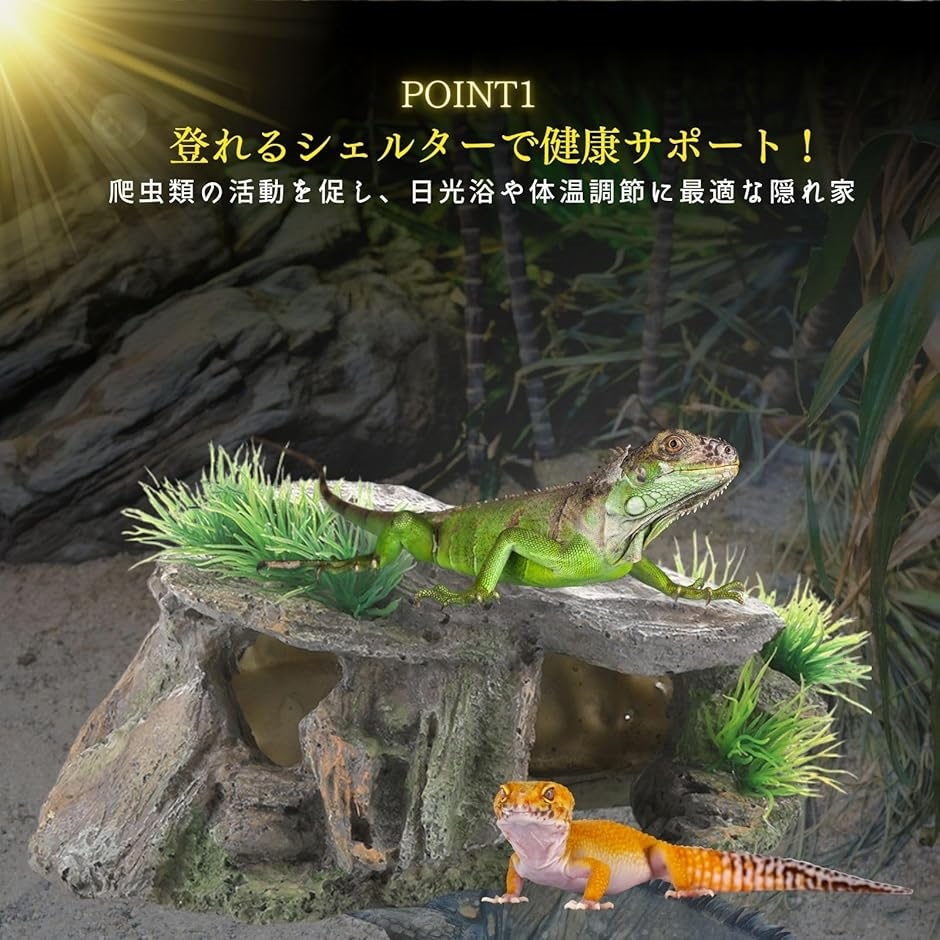 爬虫類 飼育セット12点 カナヘビ ニホントカゲ 爬虫類 両生類 飼育セット カナヘビ トカゲ 亀 紫外線ライト