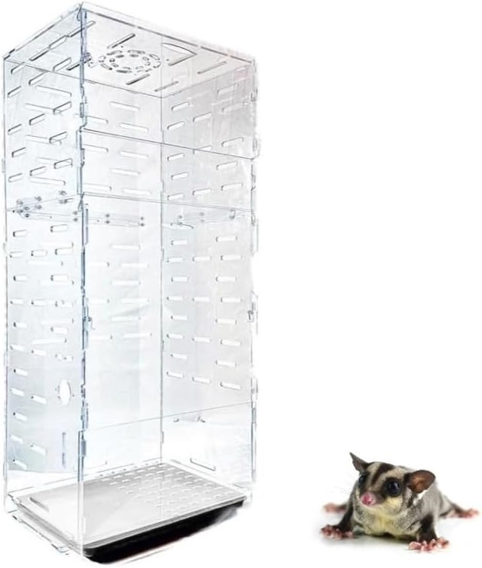 フクロモモンガ 360度見渡せるアクリルルーム 特大 ケージ 小動物