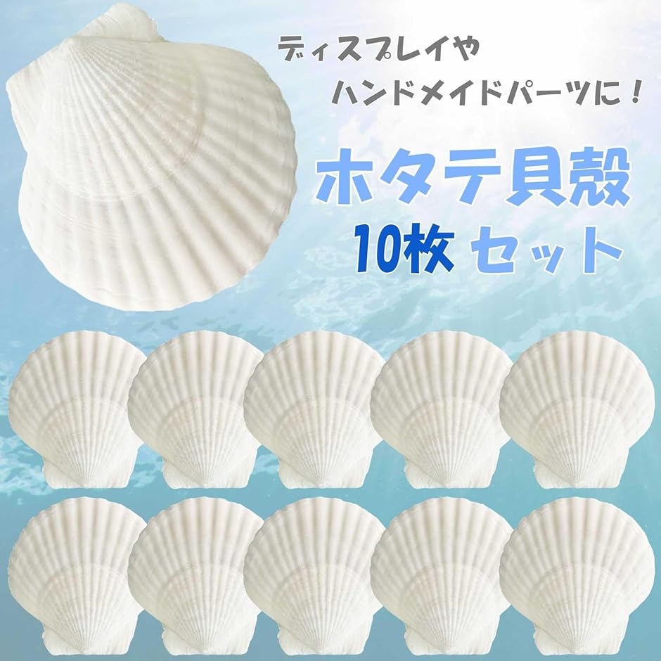 ホタテ 貝殻 10枚セット シェルパーツ ホタテガイ マリン 素材
