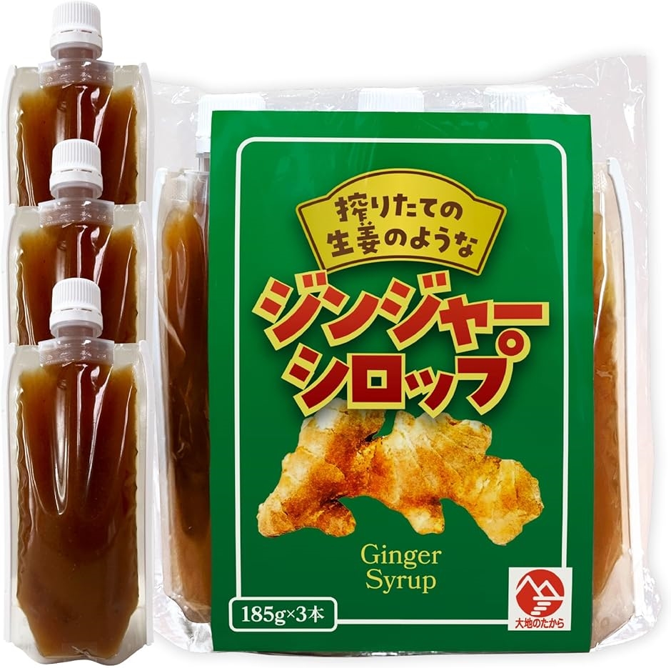 ジンジャーシロップ 辛口 ジンジャーエール の素 １８５ｇ 高知県産 しょうがシロップ 国産 生姜 大人の x(１８５グラム x ３本)