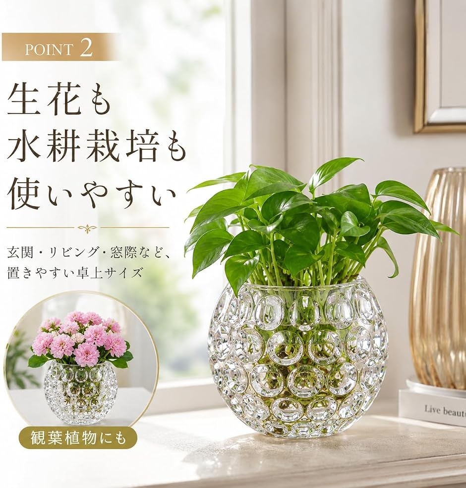 ガラス 花瓶 丸型 フラワーベース 花器 水耕...の詳細画像3