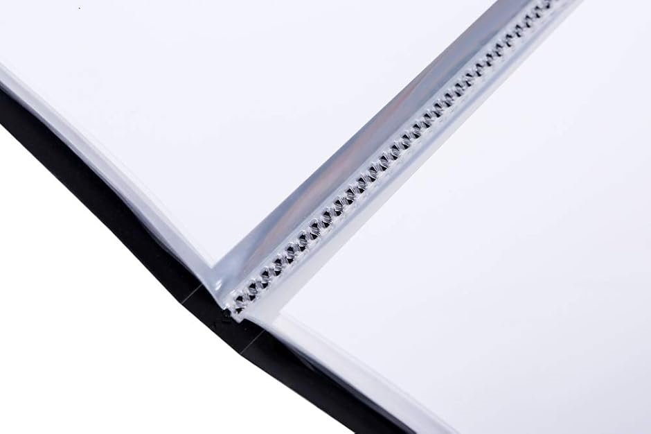 B2 ポスター ファイル 収納20枚 中紙・収納ケース付GWB2F-20( 黒,  10ポケット（収納20枚）「中紙付」)