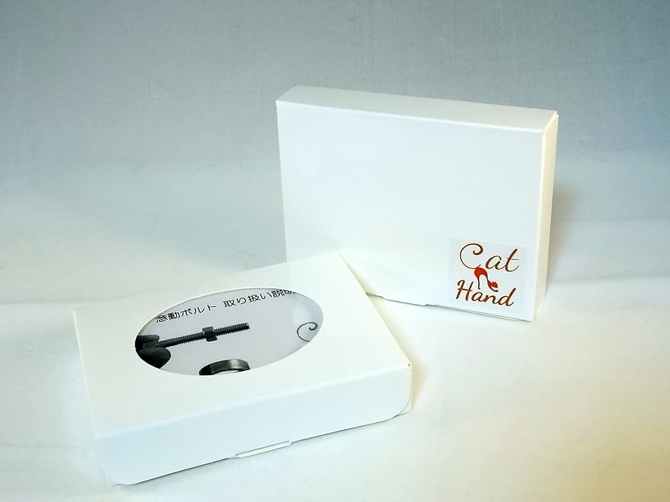 念動ボルト マジック 用 強力磁石 指輪 セット ナットが勝手に回転 誰