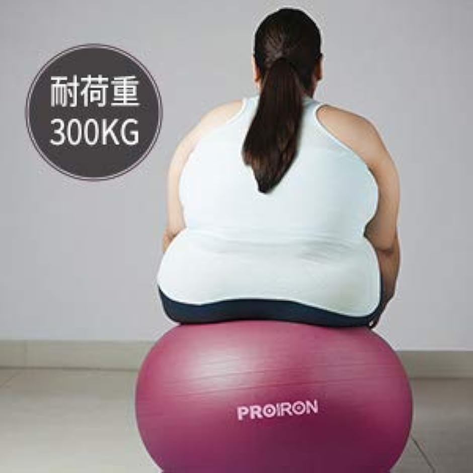 バランスボール 65cm ハンドポンプ付き MDM(パープル, 65cm/M
