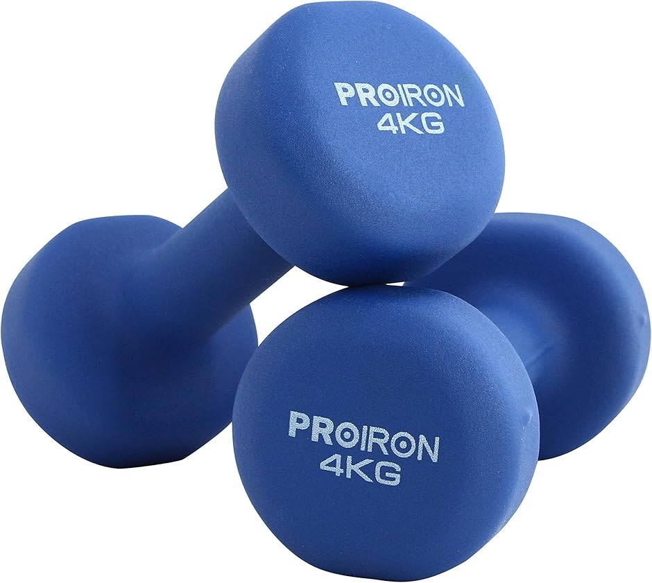ダンベル プレートダンベルおもり追加 純鋳鉄 2.5kgx4個 穴径25mm