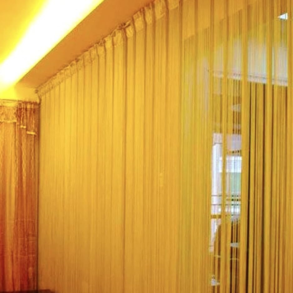 ひも カーテン ストリング ライン のれん 上品 装飾 カット可能 薄い( キャラメルゴールド,  幅 100 x 高さ 200 cm)｜horikku