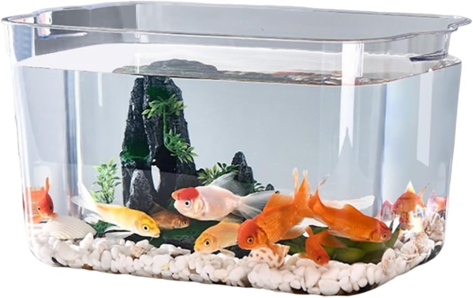 アクリル水槽 　アクアリウム　ジャンク品 金魚鉢 アクリル水槽 透明 メダカ 苔 アクアリウム 水草 飼育