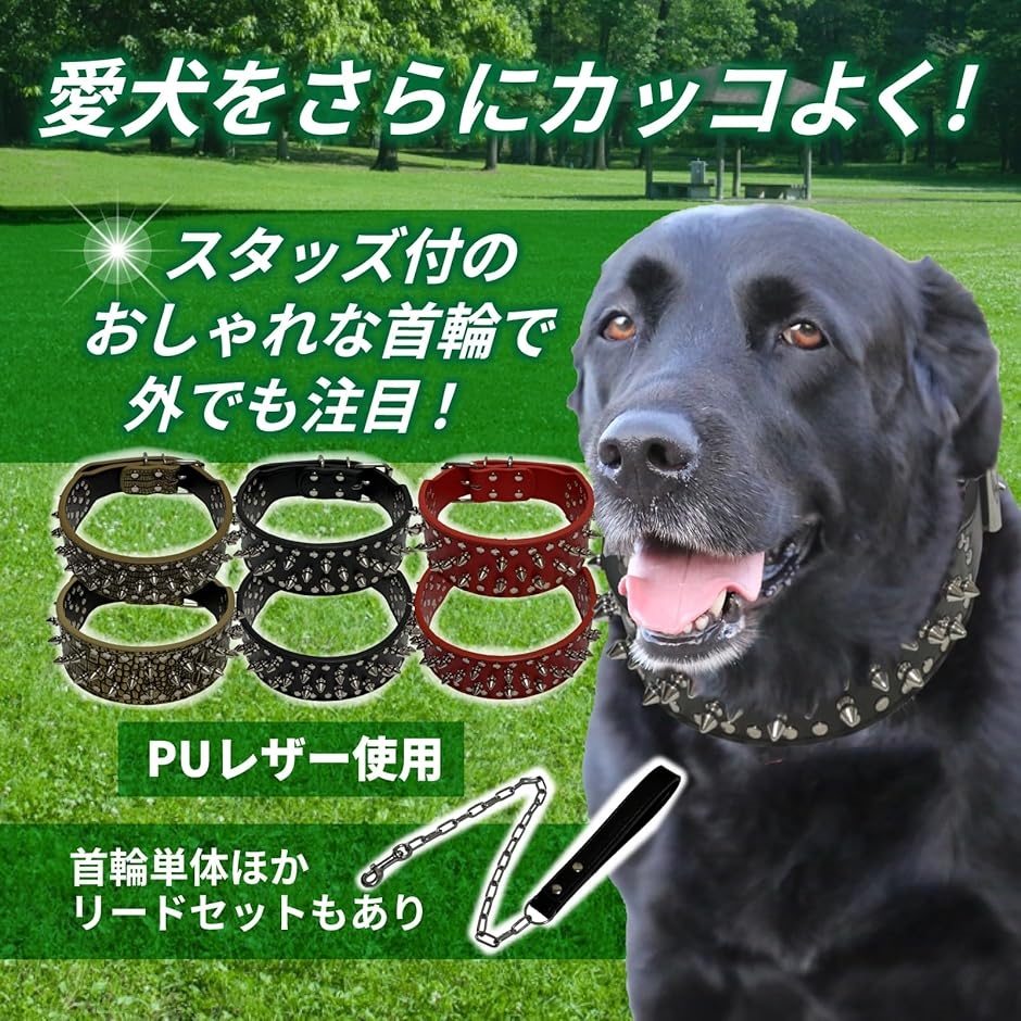 犬の首輪には トップ 飾り であるほかになぜスタッズ