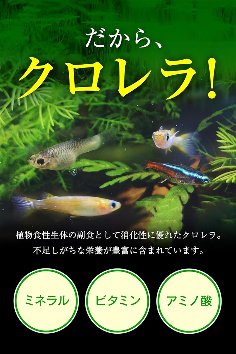 観賞魚用 クロレラ 100粒 20g 錠剤タイプ 金魚 メダカ シュリンプ 餌 