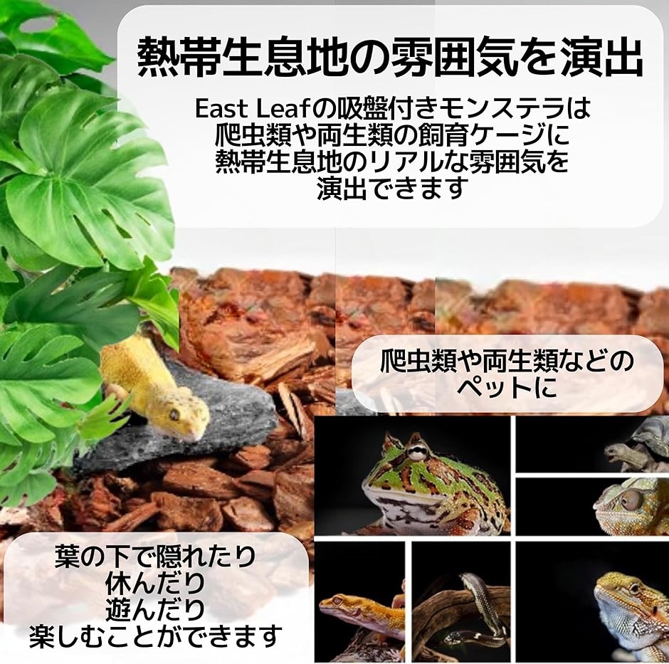 人工植物 ケージ 水槽 両生類 爬虫類 吸盤付き( グリーン,  M)｜horikku｜02