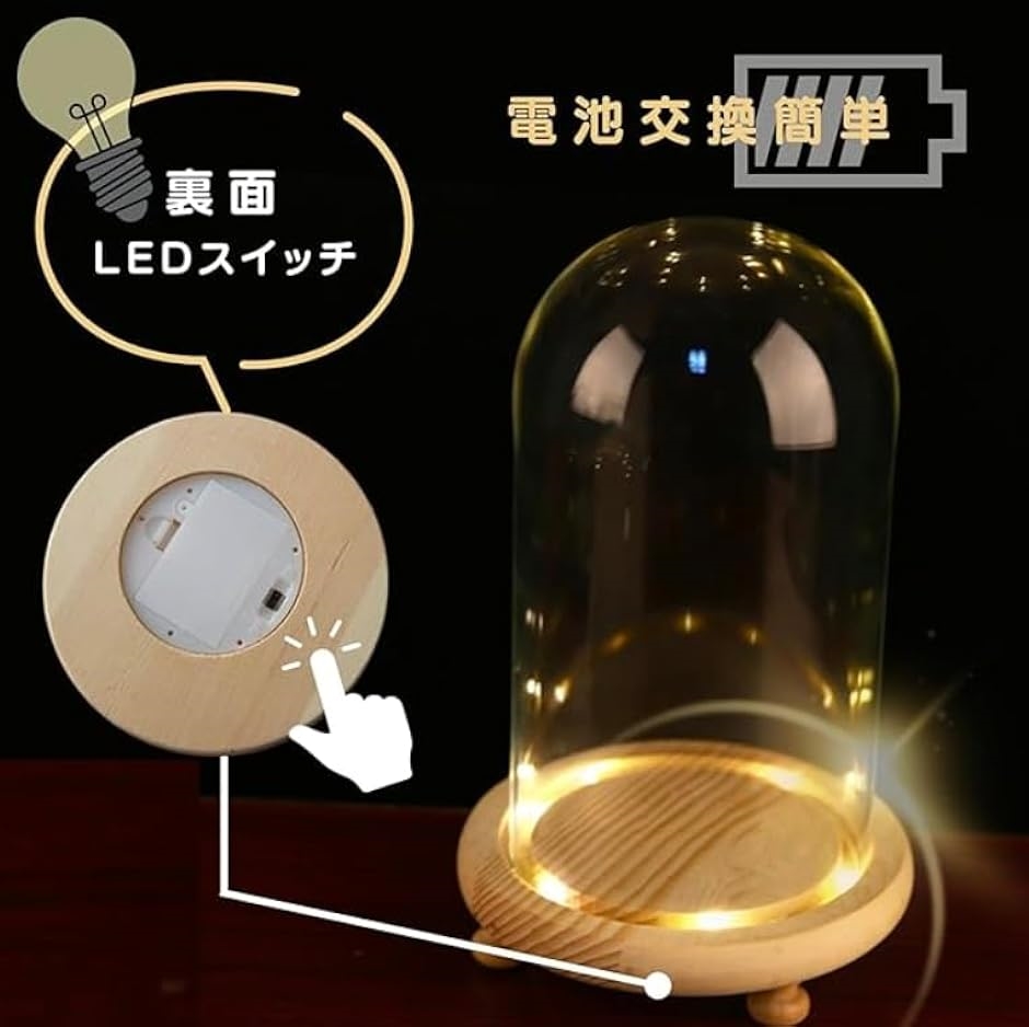 透明ガラスドーム LED付き コレクションケース ショウケース ショーケース( 15cmx18.5cm,  15cmx18.5cm)｜horikku｜04
