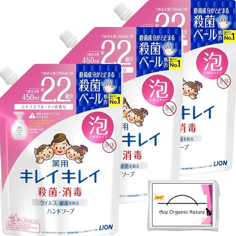 まとめ買い 薬用 泡ハンドソープ シトラスフルーティの香り 詰め替え 450mLx3個 2.2倍 大容量｜horikku