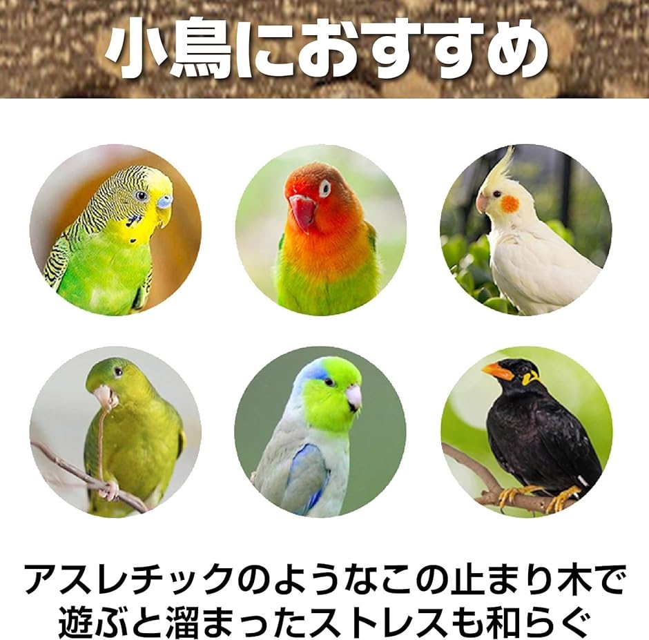 天然木 5連パーチ 止まり木 鳥用 バランス トレーニング おもちゃ