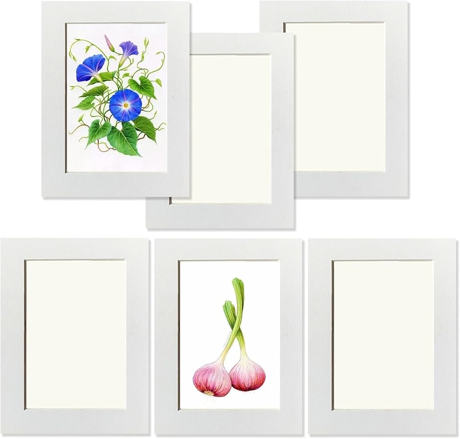 展示用 フォトフレーム 6個セット アートフレーム 壁掛け 厚紙製 超