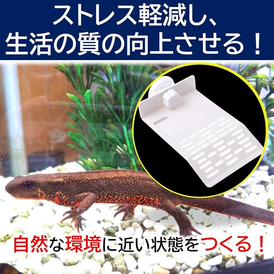 イモリ（飼育ケージ）の商品一覧｜温室、飼育ケース｜爬虫類、両生類用品 | ペット用品、生き物 通販 - Yahoo!ショッピング