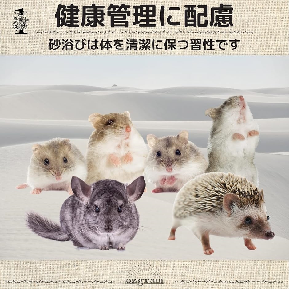 小動物用 バスルーム Lサイズ 18x12x12cm 砂遊び 砂浴び