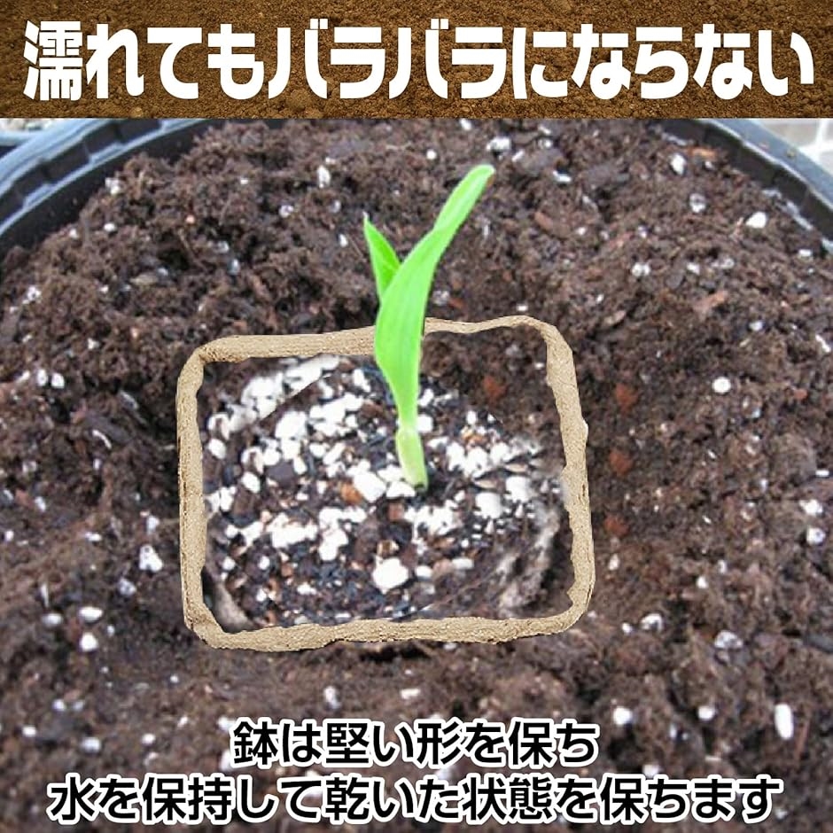 互換品】育苗ポット トレー トレイ カップ 箱 種まきポット 園芸