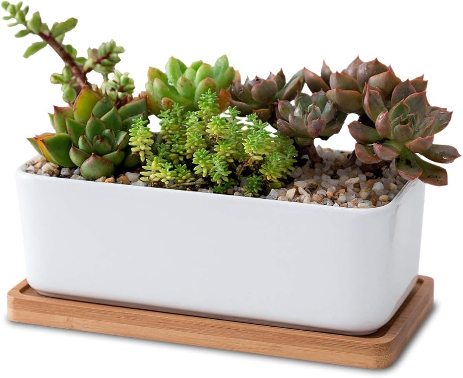 植木鉢 長方形 陶器」の人気商品一覧・価格比較 - 価格.com
