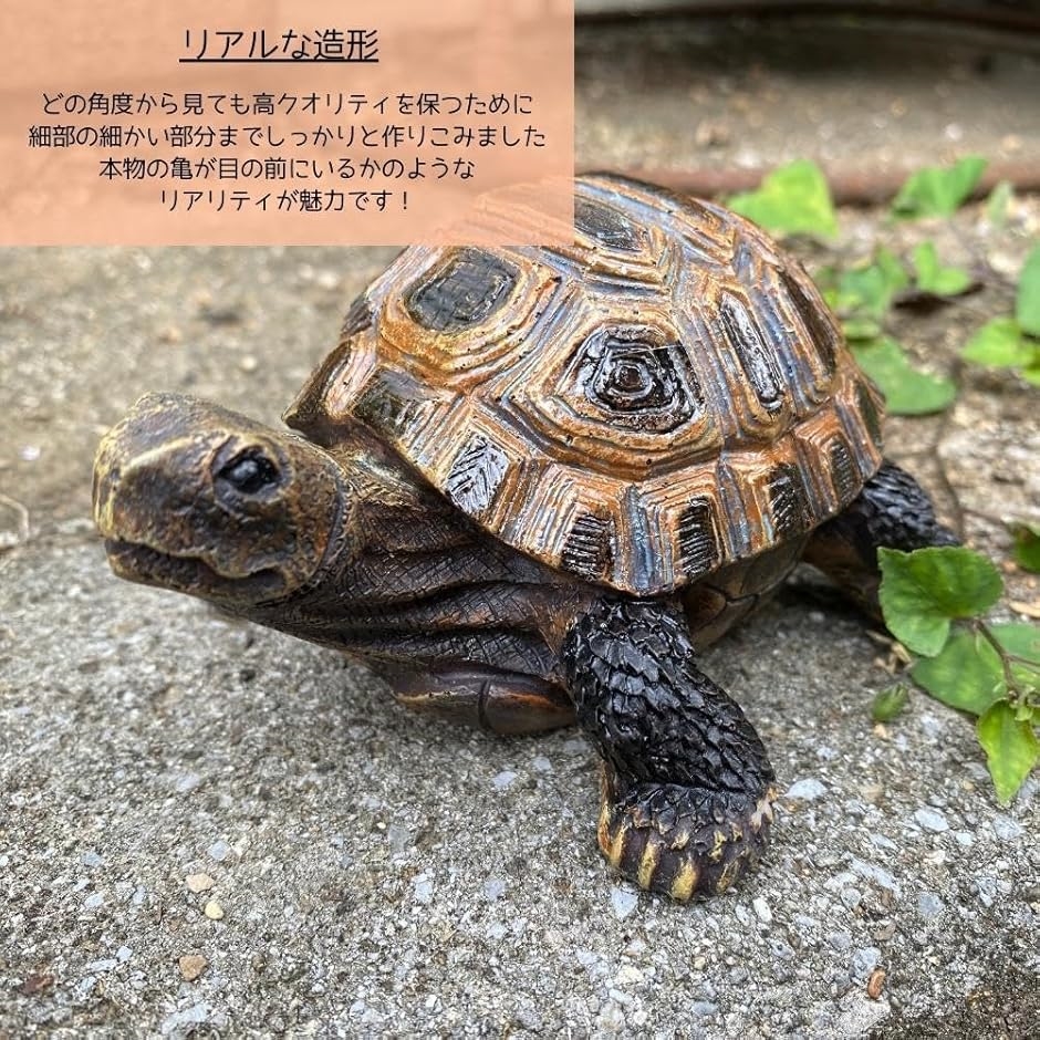 亀 カメ タートル 置物 庭 ガーデニング ガーデン オブジェ