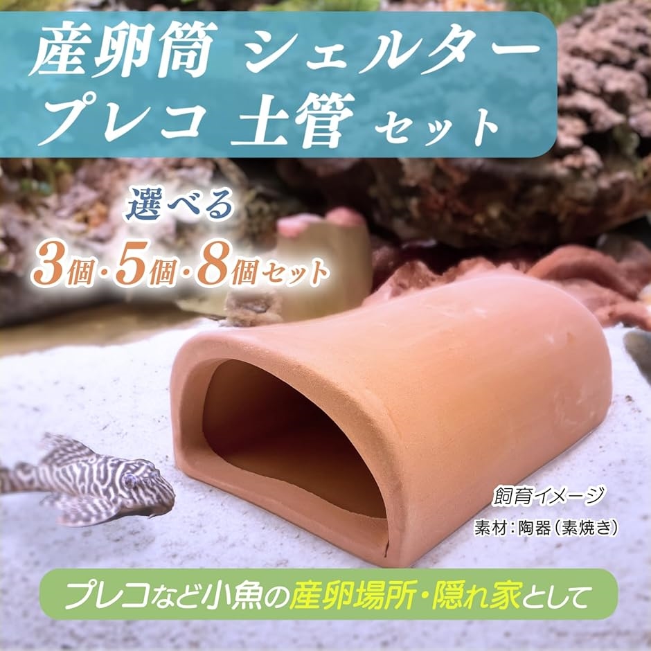 YANKO20L容器5個ライトグレー5個産卵床5個サービス 楽天市場】山崎実業 tower タワー 冷蔵庫中 卵ケース 選べる