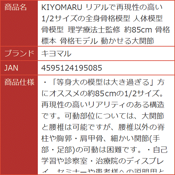 KIYOMARU リアルで再現性の高い1/2サイズの全身骨格模型 人体模型 骨模型 理学療法士監修 約85cm 骨格標本 骨格モデル