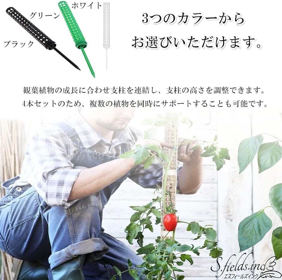 モスポール 支柱 4本セット 連結可 観葉植物 プラスチック グリーン