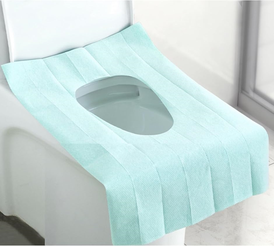 ĝ gC ֍V[g g h ֗ObY ֍Jo[ q  gCV[g( O[20,  40x60cm)